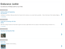 Tablet Screenshot of endurancejunkie.blogspot.com