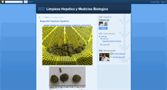 Desktop Screenshot of limpiezahepaticaymedicinabiologica.blogspot.com