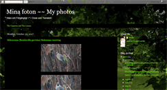Desktop Screenshot of minafoton.blogspot.com