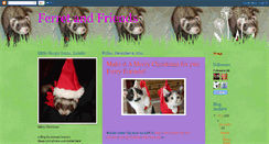 Desktop Screenshot of ferretandfriends.blogspot.com