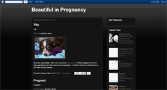 Desktop Screenshot of beautifulinpregnancy.blogspot.com