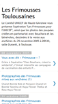 Mobile Screenshot of lesfrimoussestoulousaines.blogspot.com