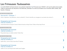 Tablet Screenshot of lesfrimoussestoulousaines.blogspot.com