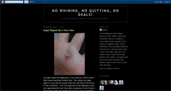 Desktop Screenshot of nowhiningnoquittingnodeals.blogspot.com