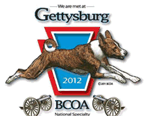 Tablet Screenshot of 2012bcoanationals.blogspot.com