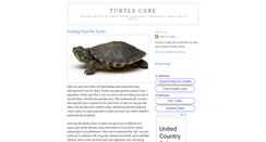 Desktop Screenshot of goodturtlecare.blogspot.com