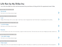 Tablet Screenshot of liferunbymyshibainu.blogspot.com