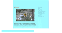 Desktop Screenshot of marigoldandmint.blogspot.com