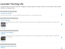 Tablet Screenshot of lavenderfarming.blogspot.com