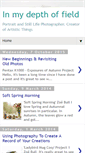 Mobile Screenshot of in-my-depth-of-field.blogspot.com