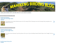 Tablet Screenshot of mafikengbirds.blogspot.com