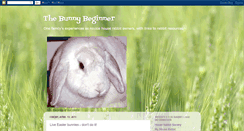 Desktop Screenshot of bunnybeginner.blogspot.com