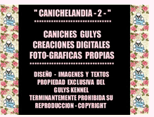 Tablet Screenshot of canichesgulys-canichelandia-2.blogspot.com