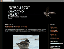 Tablet Screenshot of burravoebirding.blogspot.com