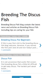 Mobile Screenshot of breedingdiscus-fish.blogspot.com