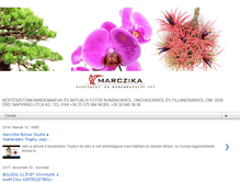 Tablet Screenshot of marczikakertblog.blogspot.com