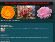 Tablet Screenshot of filozofii-despre-viata.blogspot.com