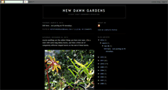 Desktop Screenshot of newdawngardens.blogspot.com