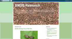 Desktop Screenshot of bmsbresearch.blogspot.com