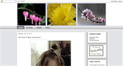 Desktop Screenshot of cyfamilyphotos2.blogspot.com