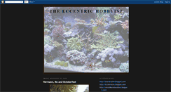 Desktop Screenshot of eccentrichobbyist.blogspot.com