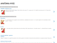 Tablet Screenshot of anatomia102.blogspot.com