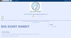 Desktop Screenshot of biggiantrabbit.blogspot.com