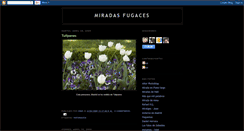 Desktop Screenshot of miradasfugaces.blogspot.com