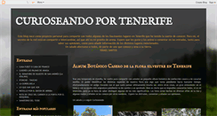 Desktop Screenshot of curioseandoportenerife.blogspot.com