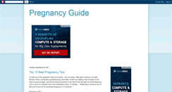 Desktop Screenshot of pregnancyguide.blogspot.com