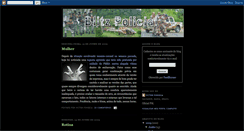 Desktop Screenshot of blitzpolicial.blogspot.com
