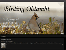 Tablet Screenshot of birdingoldambt.blogspot.com