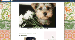 Desktop Screenshot of addictedtoyorkies.blogspot.com