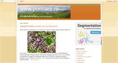Desktop Screenshot of ponoare.blogspot.com