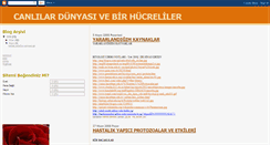 Desktop Screenshot of haticesengul06.blogspot.com