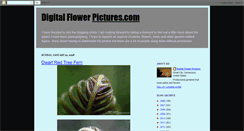 Desktop Screenshot of digitalflowerpictures.blogspot.com