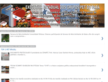 Tablet Screenshot of executivaparaense.blogspot.com