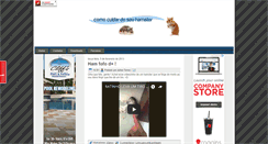 Desktop Screenshot of comocuidardoseuhamster.blogspot.com