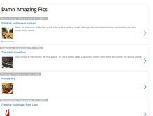 Tablet Screenshot of damnamazingpics.blogspot.com