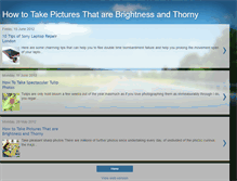 Tablet Screenshot of howtakepicture.blogspot.com