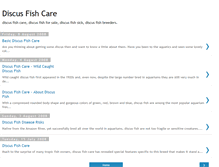 Tablet Screenshot of discus-fish-care-blog.blogspot.com