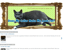 Tablet Screenshot of doesmycollarmakemelookfat.blogspot.com