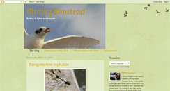 Desktop Screenshot of birding-benstead.blogspot.com