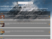 Tablet Screenshot of adoptaungato.blogspot.com