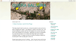 Desktop Screenshot of guerasalsera.blogspot.com