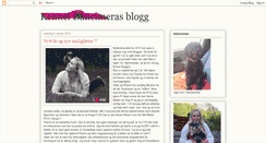Desktop Screenshot of dancimeras.blogspot.com