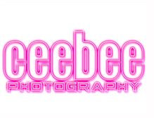 Tablet Screenshot of ceebeephotography.blogspot.com