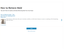 Tablet Screenshot of howtoremovemoldnow.blogspot.com