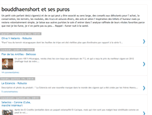 Tablet Screenshot of bouddhaenshort.blogspot.com