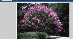 Desktop Screenshot of crapemyrtle-magnolia.blogspot.com